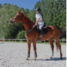 polo de equitación mujer