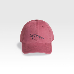 Gorra burdeos
