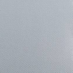 ROPA DE CONCURSO HÍPICO PARA MUJER EN COLOR GRIS