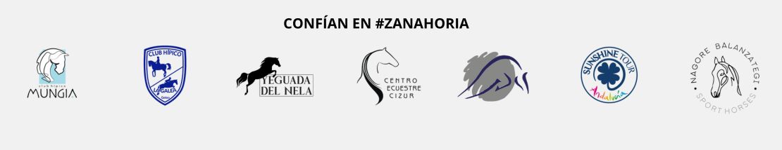 Confían en Zanahoria Equitación